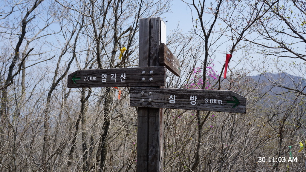 개금약초 이미지