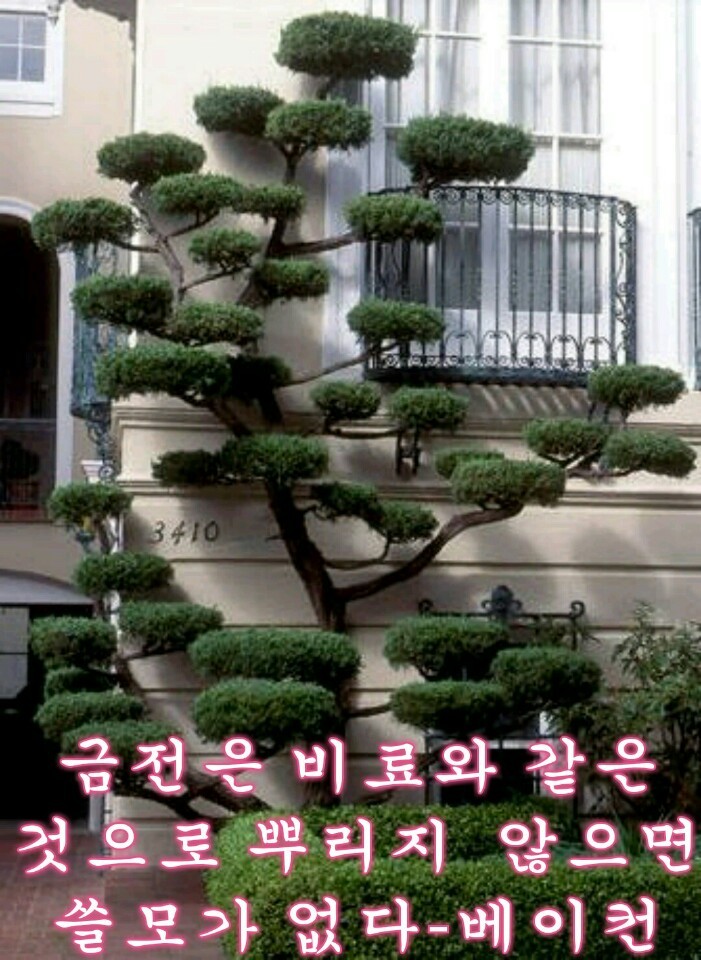 [이미지] 부모님께 보내드리면 사랑받는 이미지 모음 | 인스티즈