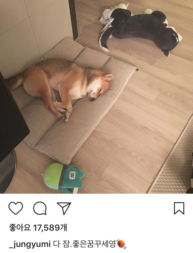 정유미 인스타 | 인스티즈