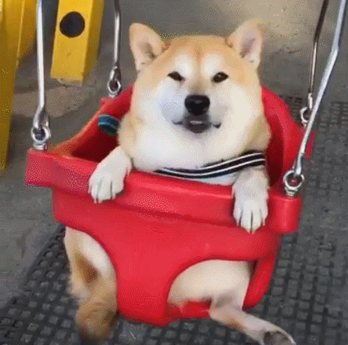 개신나네ㅋㅋ | 인스티즈