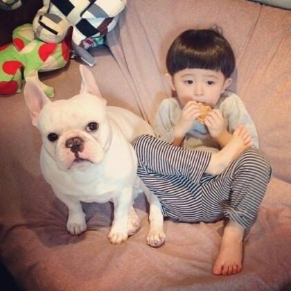 이리온 이미지
