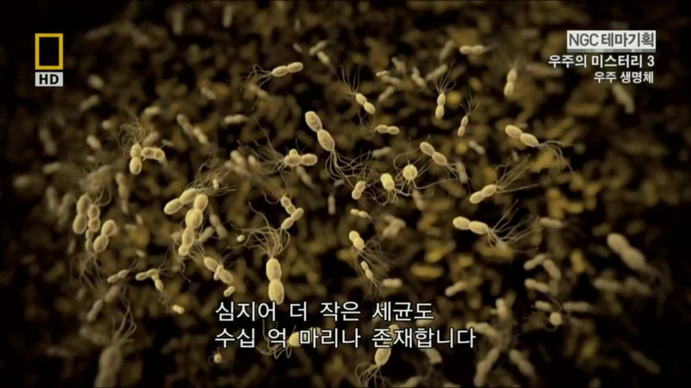 과학자들의 외계 생명체를 찾기위한 노력들.jpg | 인스티즈