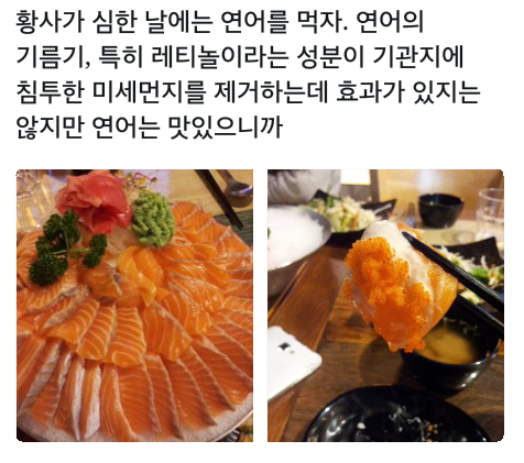황사가 심한 날에는 연어를 먹자 | 인스티즈