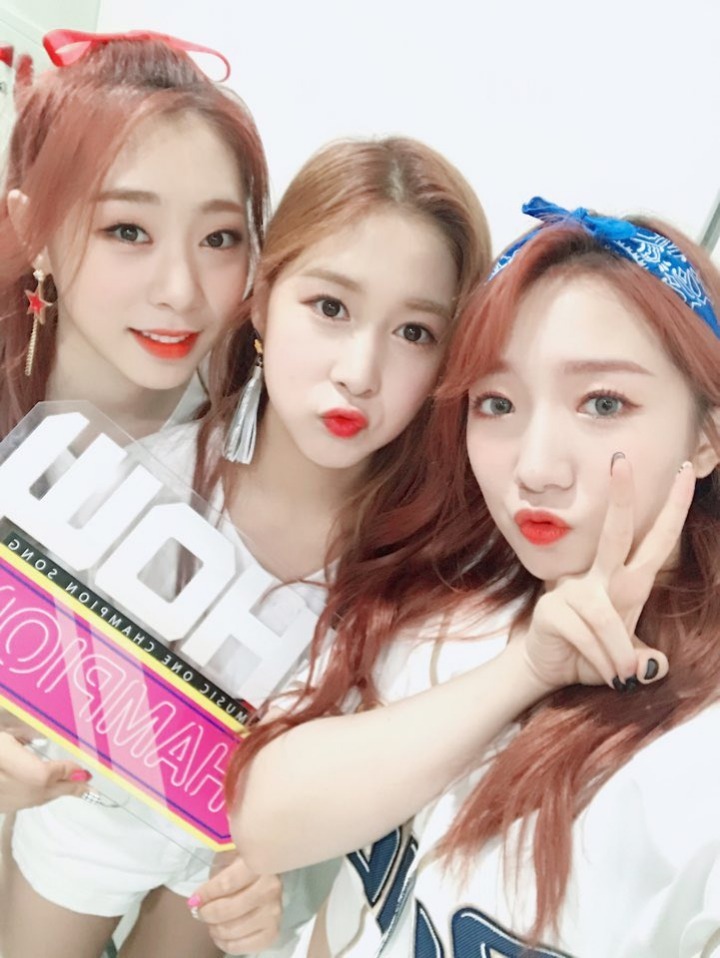 쇼챔피언 트위터 우주소녀 | 인스티즈