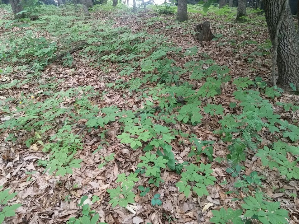 산양농업협동조합 이미지