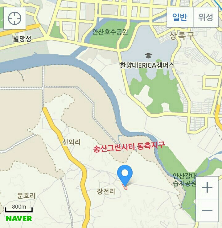 그린레져 이미지