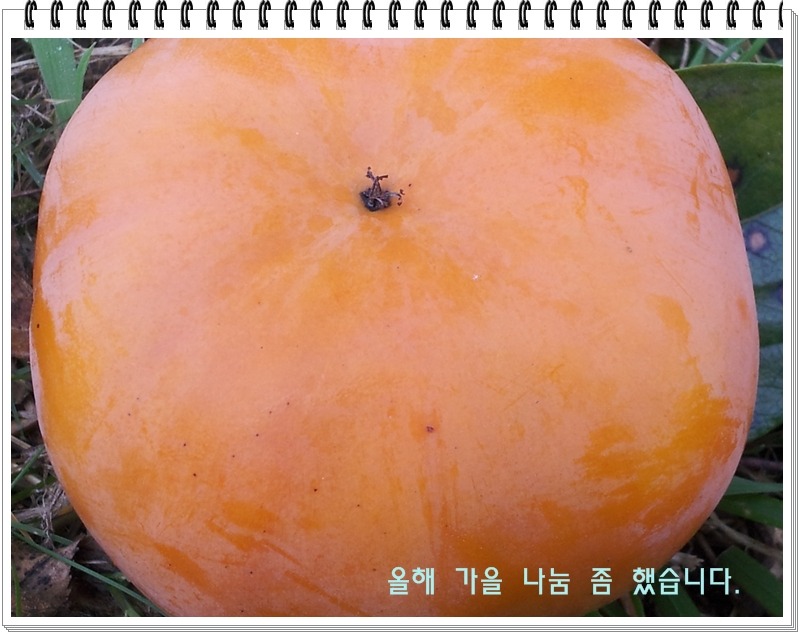 참새와새참 이미지