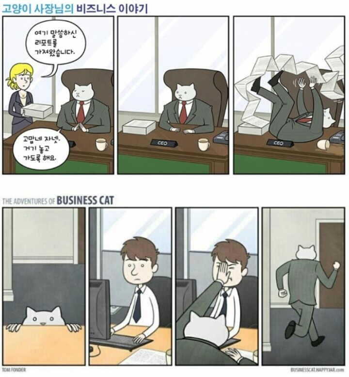 만약 고양이가 사장님이라면.jpg | 인스티즈