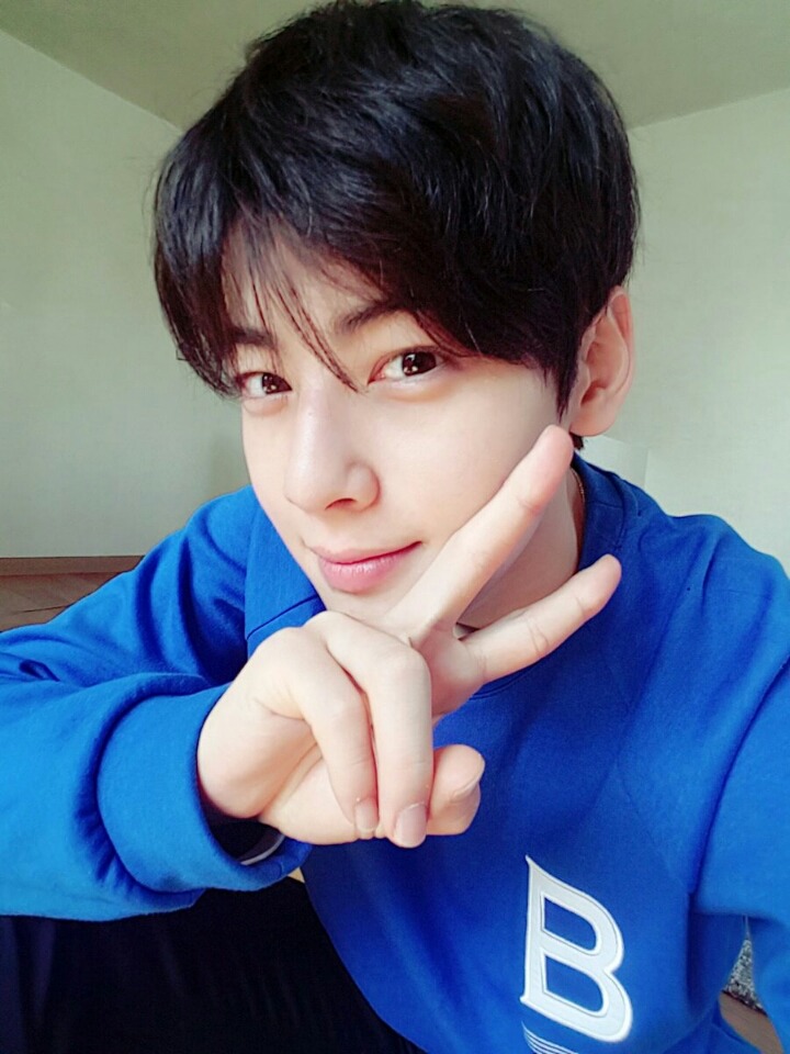 [데이터주의] 차은우 미모 수준 | 인스티즈