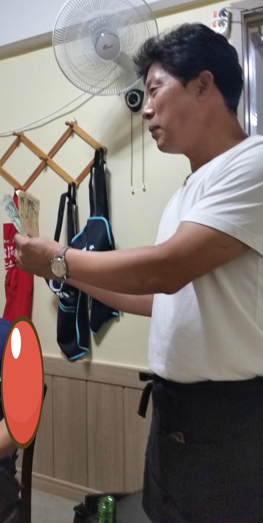 남양토담오리 이미지