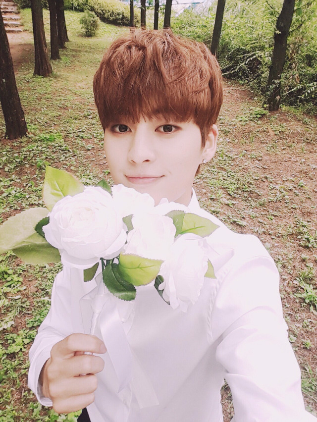 카와이 이미지