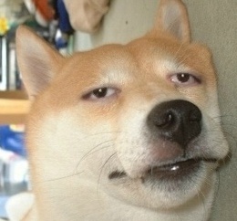 자개에서 반응이 좋킬래 배꼽방으로 데려온 할아버지한테 자리 양보받은 얘기ㅋㅋㅋㅋㅋㅋ(짤거지가 짤도 찾아왔슴다 사실 마니 안웃기고 훈훈해여...........) | 인스티즈