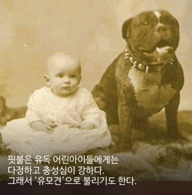 신기한 사실들 | 인스티즈