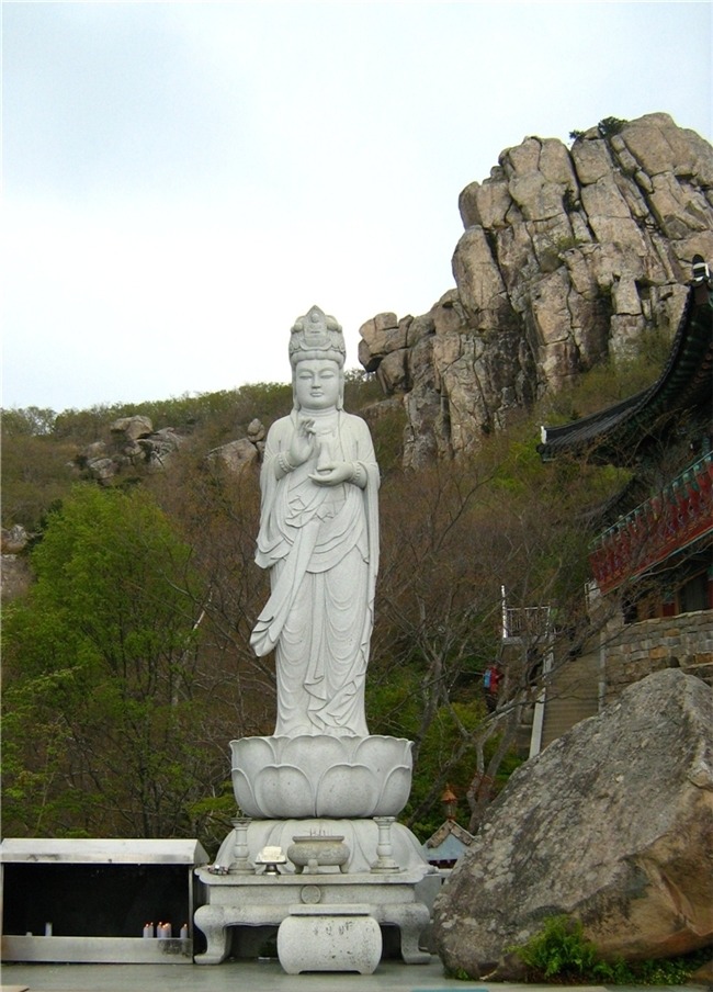 성지나라 이미지