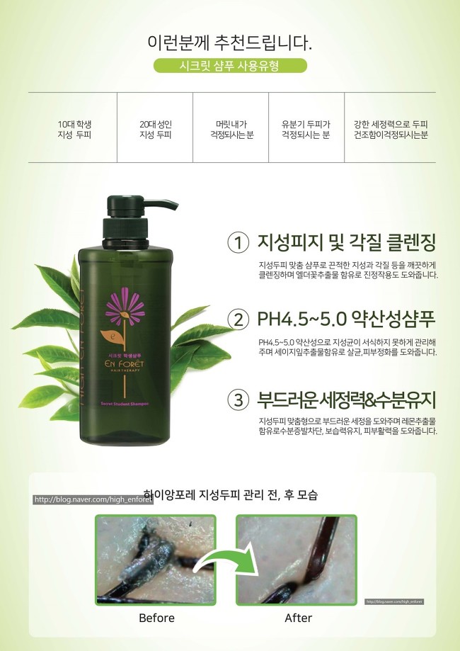 앙포레 이미지