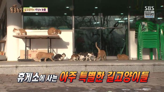 눈앞에서 제 아이가 맞아죽었습니다. 도와주세요 | 인스티즈