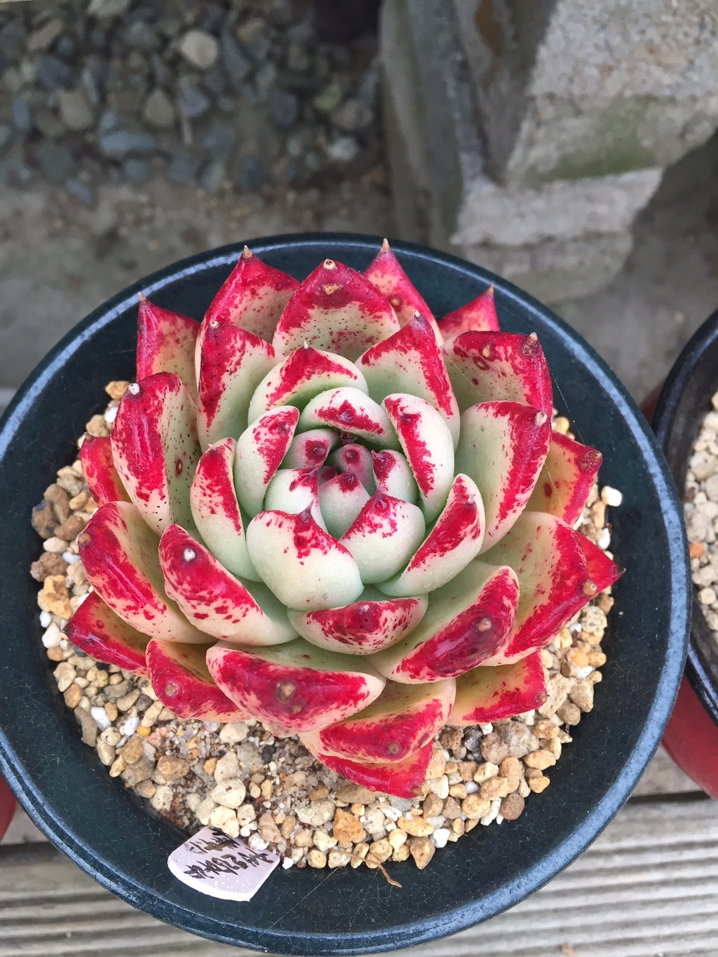 마리아유통 이미지