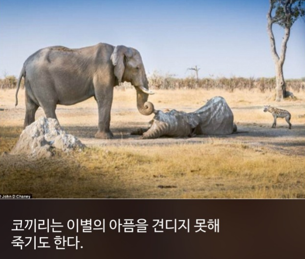 우리가 몰랐단 16가지 | 인스티즈
