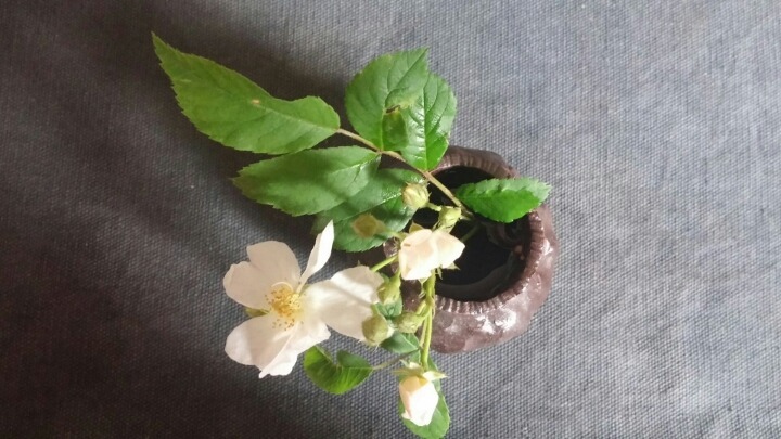 눈바래다 이미지