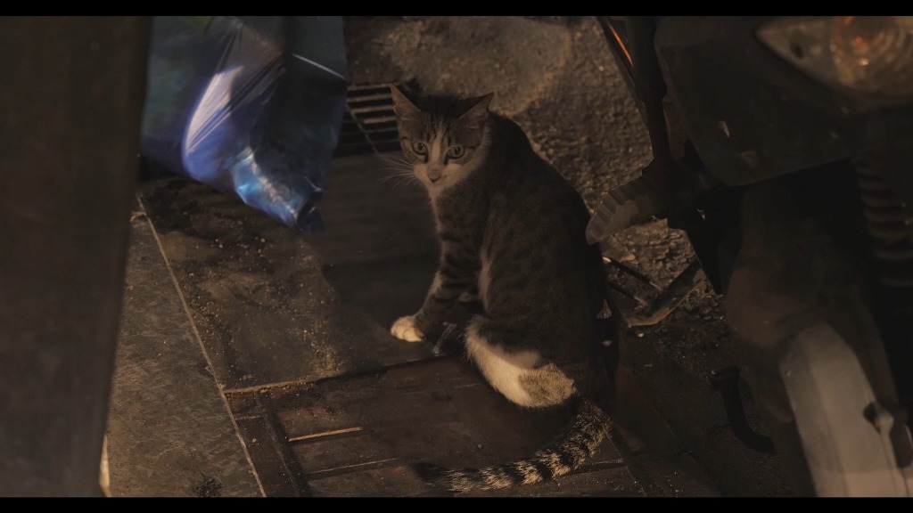 사람들의 하루.jpg | 인스티즈