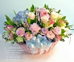 송*군 이미지