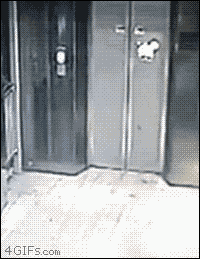 총체적 난국.gif | 인스티즈