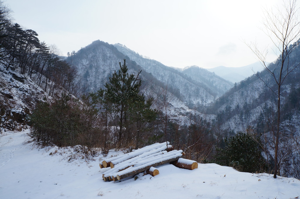 미천골자연휴양림 이미지