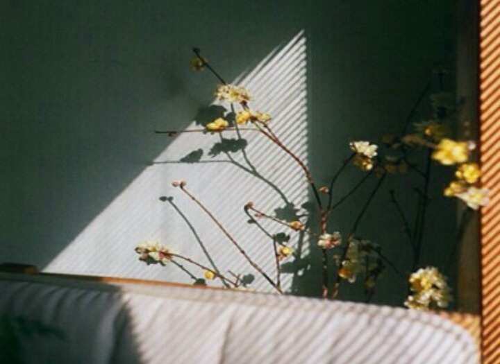 타요버스 사고장면.jpg | 인스티즈