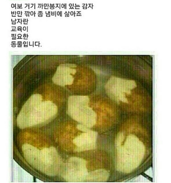 여보 김장하게 배추 반으로 잘라서 절여놔줘.jpg | 인스티즈