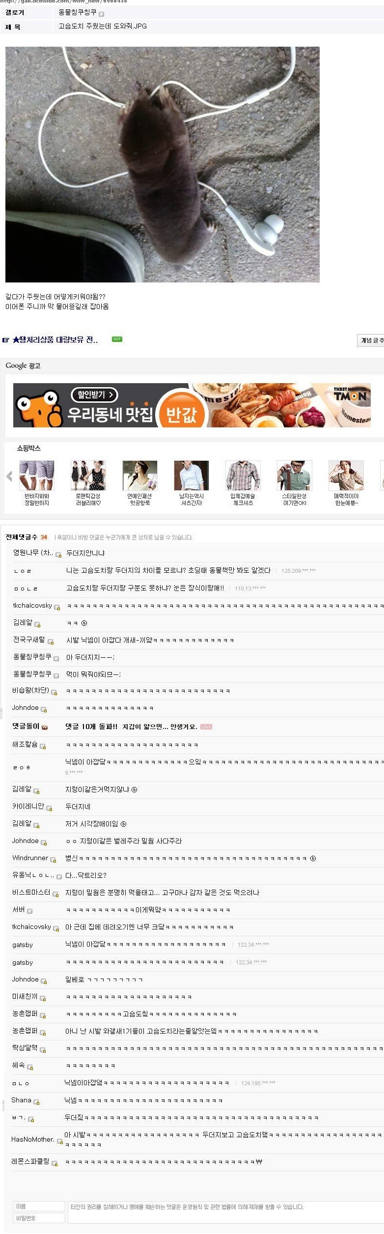 고슴도치를 주웠는데 도와줘... | 인스티즈