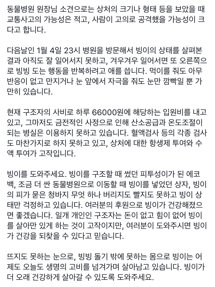 인간에게 학대를 당해 죽어가는 빙이를 구해주세요 | 인스티즈