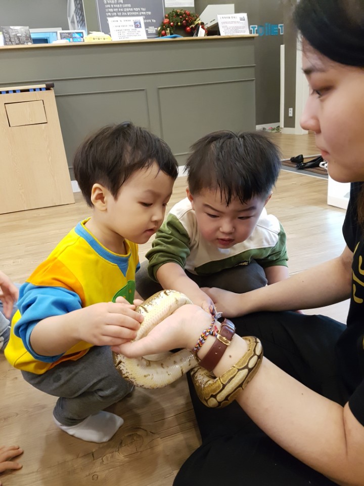 카페시율 이미지