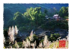 운남보이차 이미지