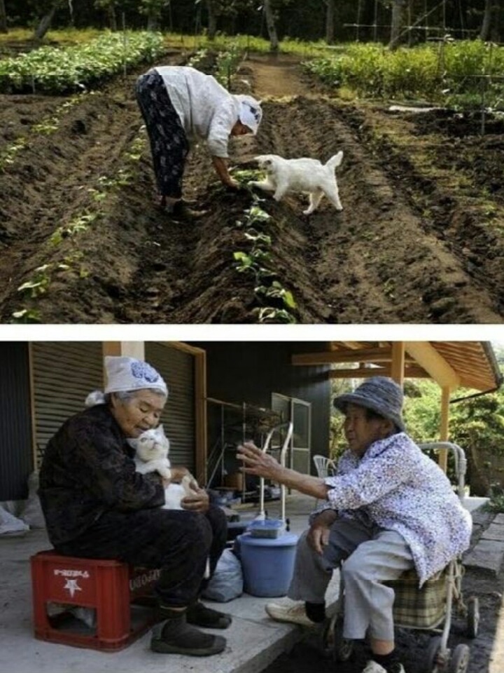 손녀가 찍어준 할머니와 고양이의 동거동락 | 인스티즈
