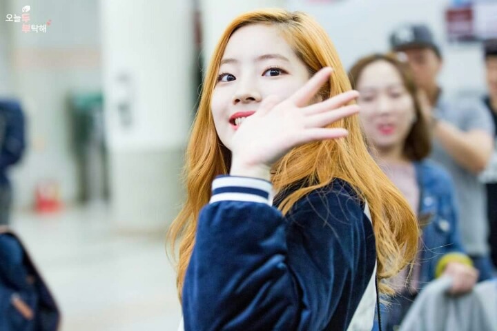 채영이 다현이 사나 모모 | 인스티즈