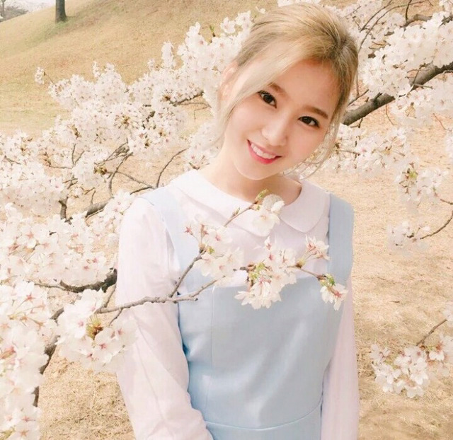 [트와이스] 외국인 멤버들 글씨체.jpg | 인스티즈