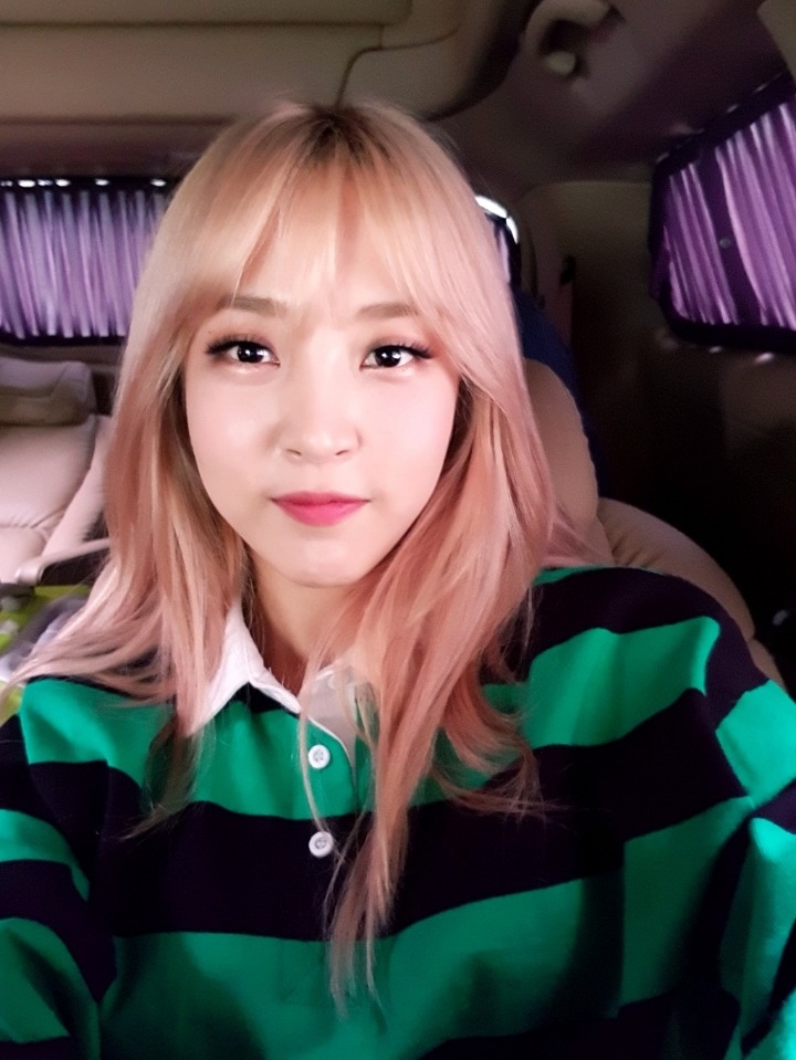 별바라기 이미지