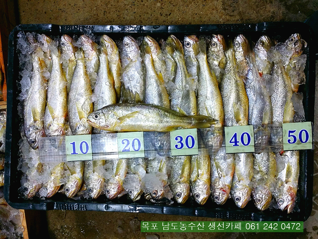 보교기획 이미지