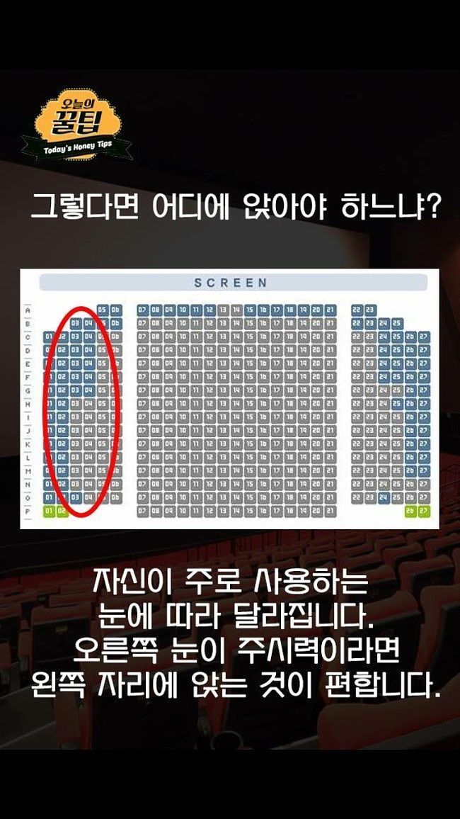 내가 모은 잡다한 정보들 데이터주의 | 인스티즈