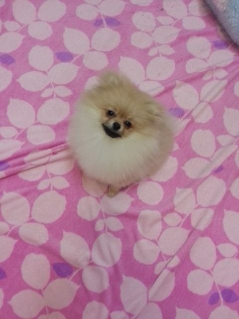 베티 이미지