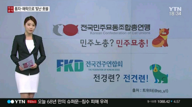 광화문 촛불집회의 개성있는 시위 깃발 모음 | 인스티즈