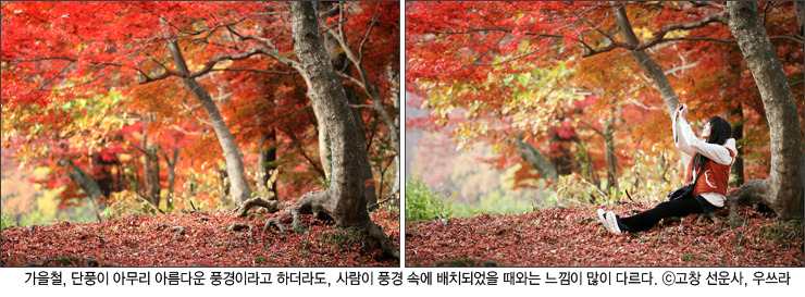 (주)사람과풍경 이미지