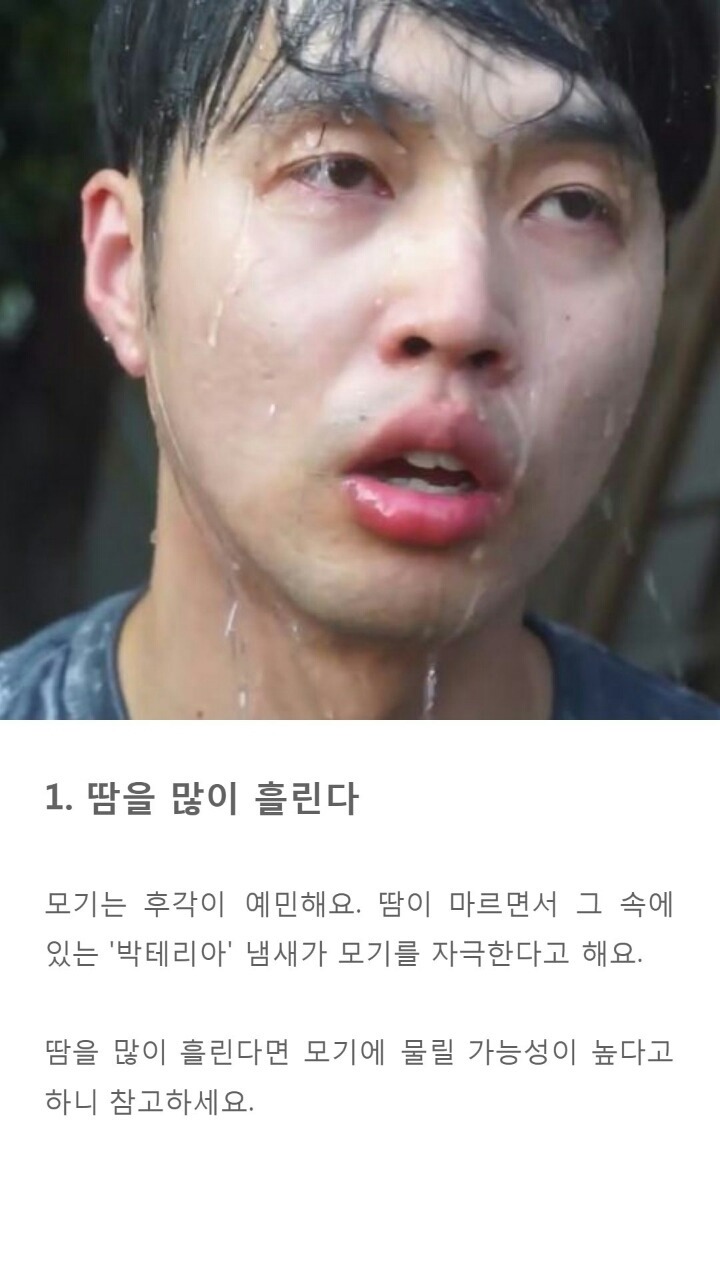 모기에게 잘 물리는 사람들 특징 9가지 | 인스티즈