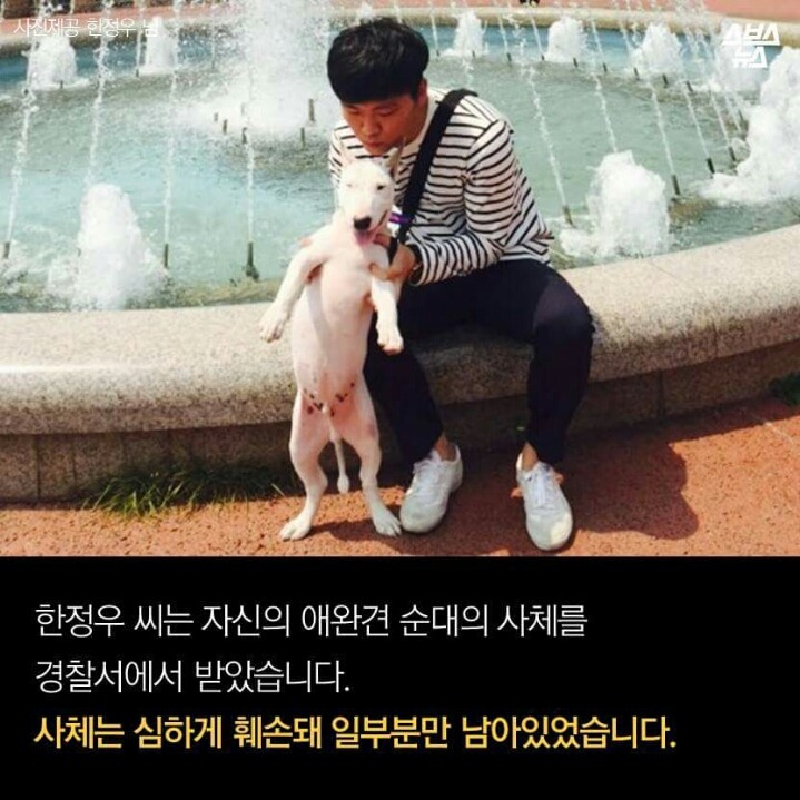 제 강아지가 잡아 먹혔습니다.jpg | 인스티즈