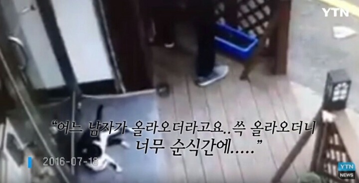 분노주의)웃는 얼굴로 새끼 고양이 내던지고 도망간 미친넘 | 인스티즈