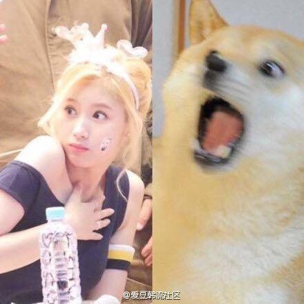 일이삼 이미지