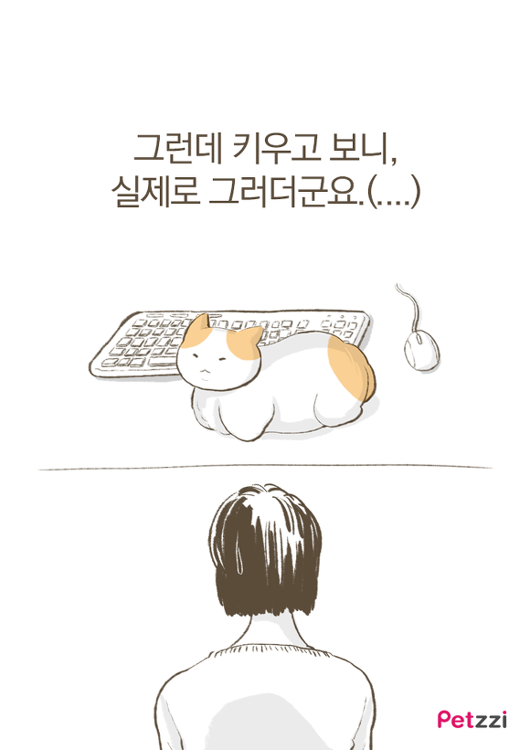 고양이들 컴퓨터 방해하는 이유(만화).jpg | 인스티즈