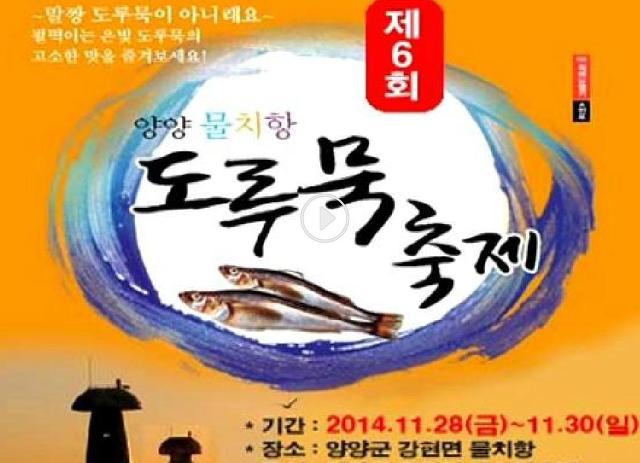 물치항도루묵 이미지