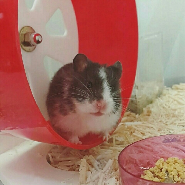찍 이미지