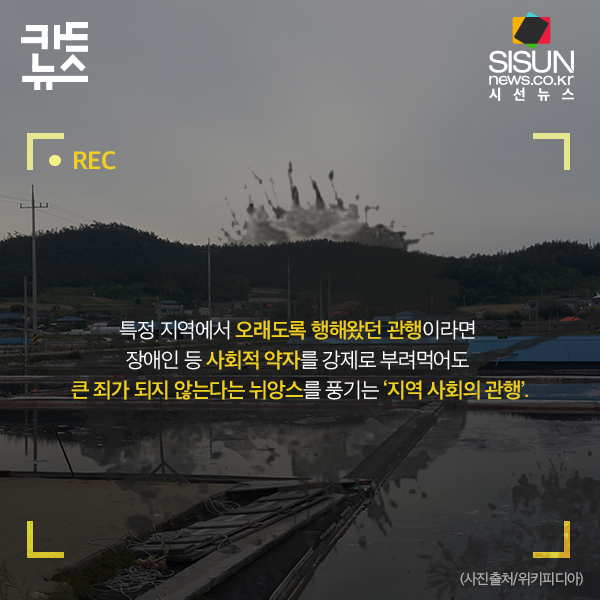 신안군 염전노예사건 | 인스티즈